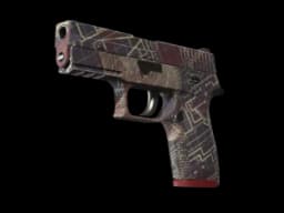 P250 | Facility Draft (Minimal Wear)
