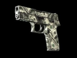 P250 | Franklin (Well-Worn)