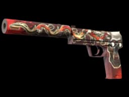 USP-S | Kill Confirmed